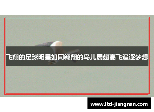 飞翔的足球明星如同翱翔的鸟儿展翅高飞追逐梦想
